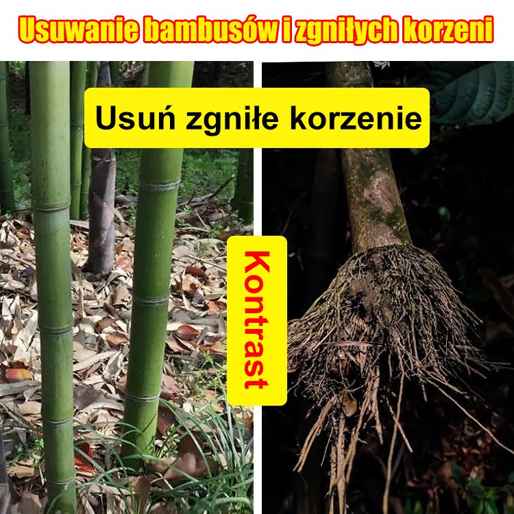 đđ±ciklozinon herbicid