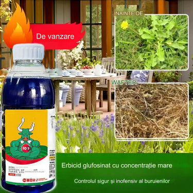 🔥【Cumpără 3, primești 2 gratis】🌿🌿Erbicid glufosinat de amoniu cu concentrație mare