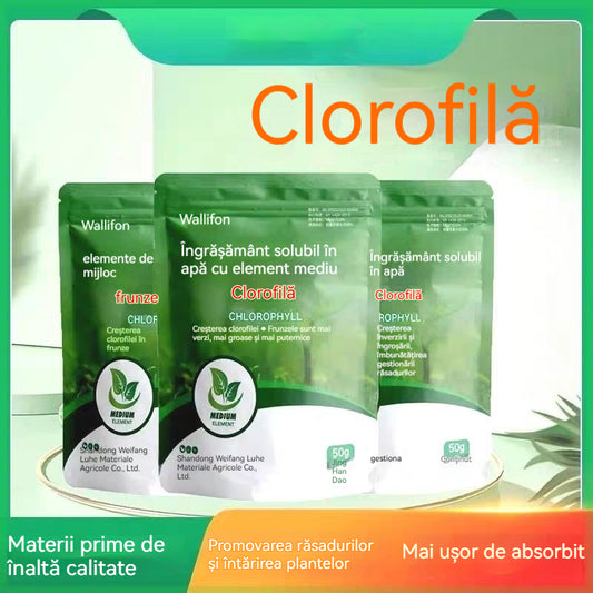 🔥【5 pungi】🌿🌿Îngrășământ solubil în apă cu clorofilă, îngrășământ foliar pentru flori, pomi fructiferi și legume, promovează creșterea rădăcinilor, creșterea răsadurilor și crește randamentul. Îngrășământ agricol solubil în apă. x