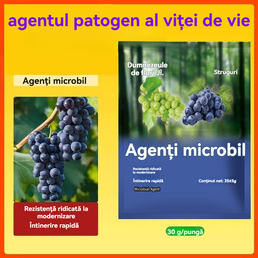 【10 plicuri】🍇Agent biologic pentru viță de vie｜Protecție puternică împotriva bolilor｜Previne făinarea, crește randamentul