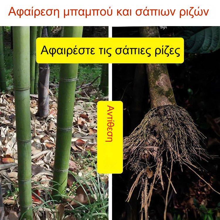 👍🌱ζιζανιοκτόνο κυκλοζινόνης